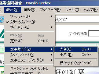 Firefoxの場合の文字サイズの変更