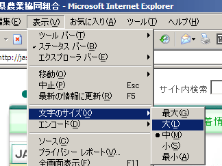Internet Explorerの場合の文字サイズの変更